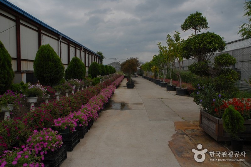 Asan Botanical Garden  (5/31)