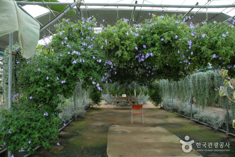 Asan Botanical Garden  (6/31)