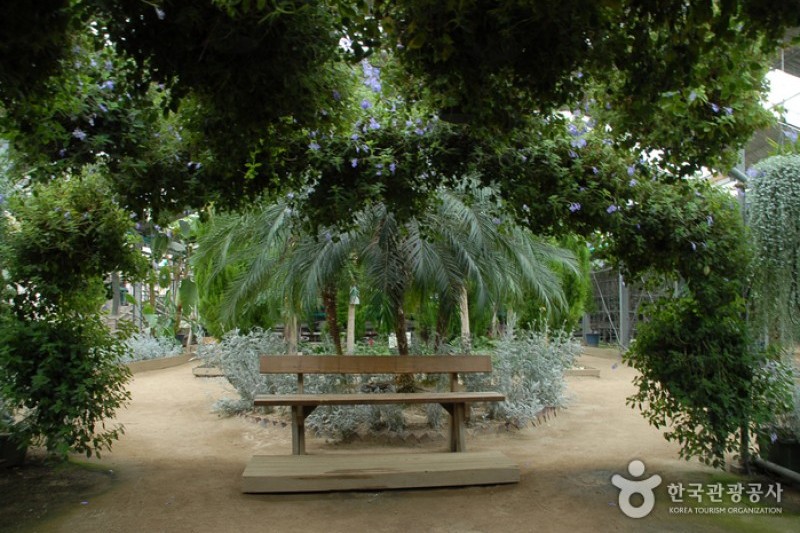 Asan Botanical Garden  (7/31)