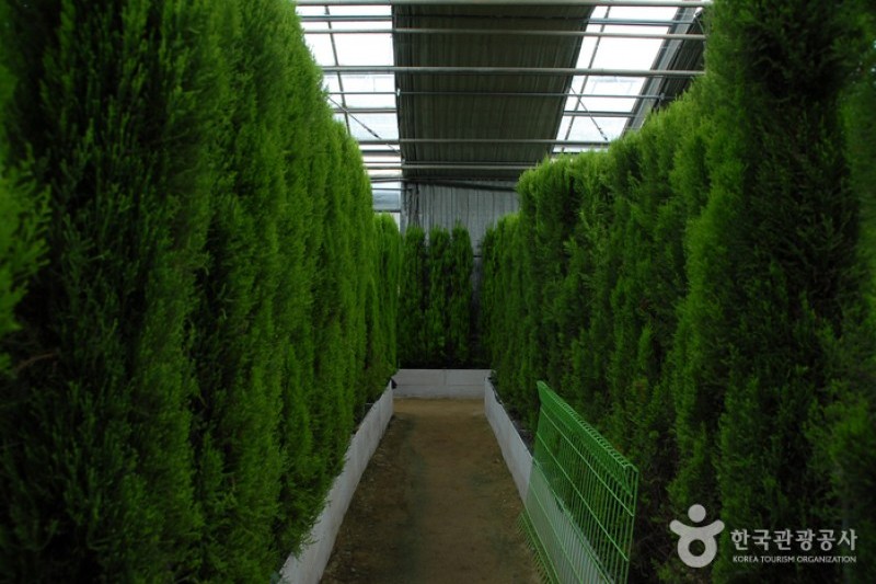 Asan Botanical Garden  (8/31)