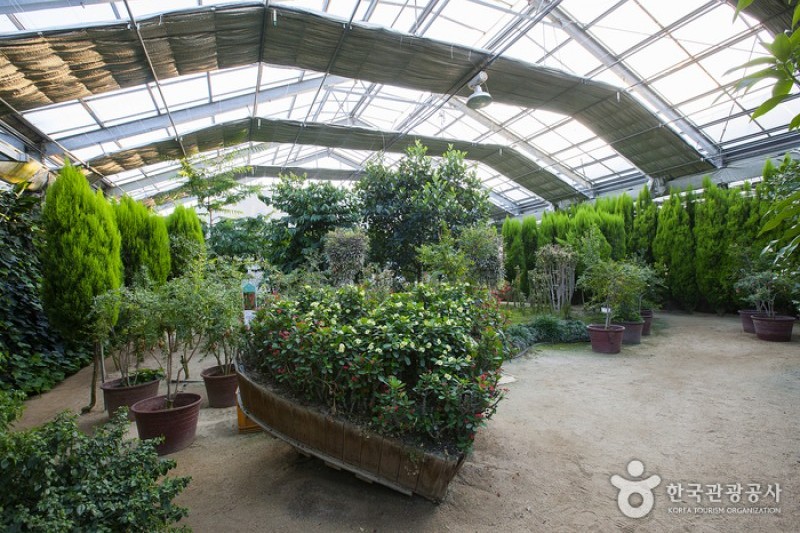 Asan Botanical Garden  (9/31)