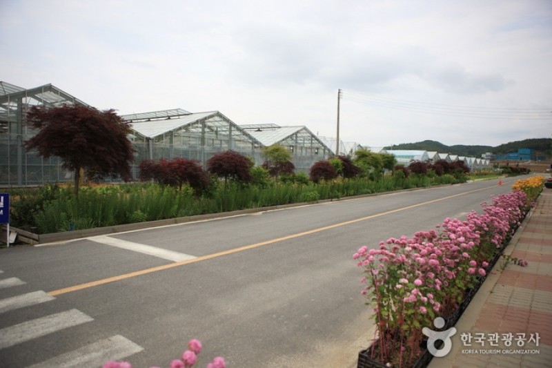 Asan Botanical Garden  (13/31)