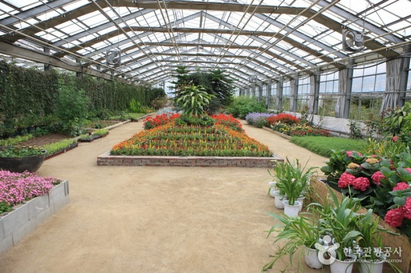Asan Botanical Garden  (15/31)