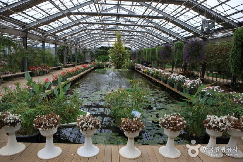 Asan Botanical Garden  (16/31)