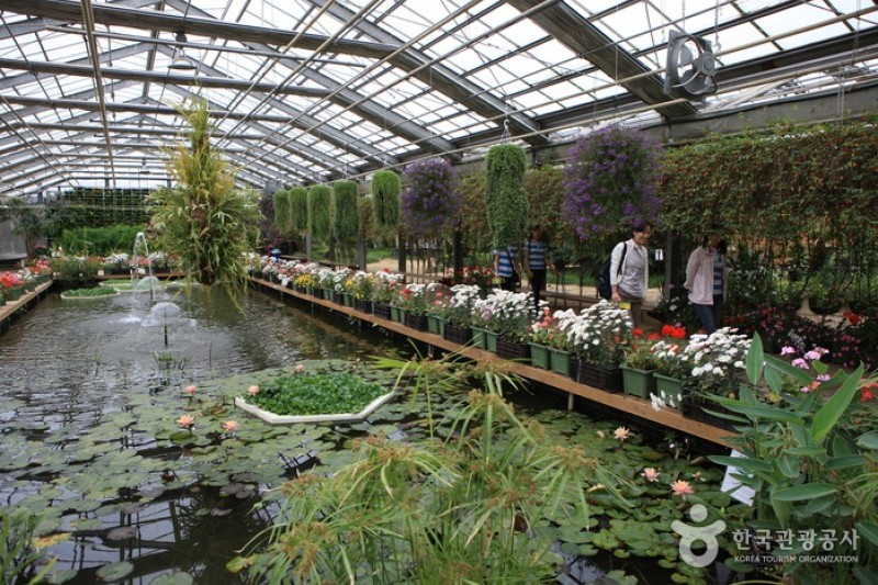 Asan Botanical Garden  (17/31)