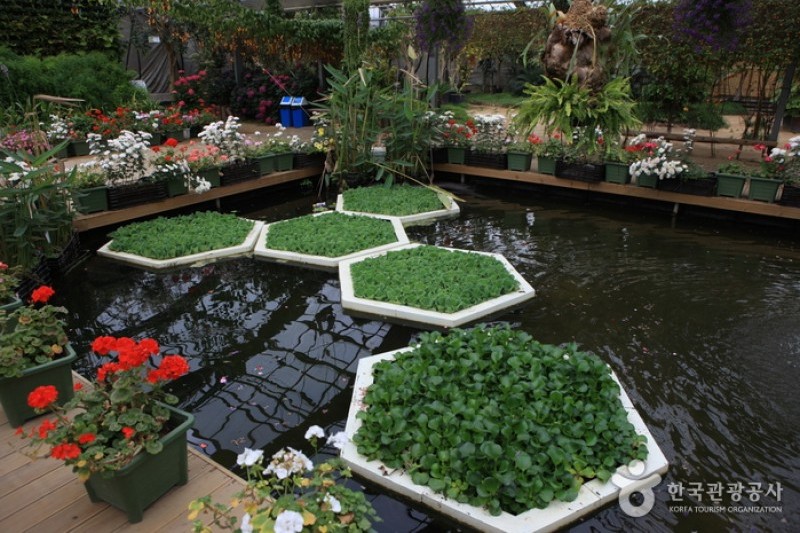 Asan Botanical Garden  (18/31)