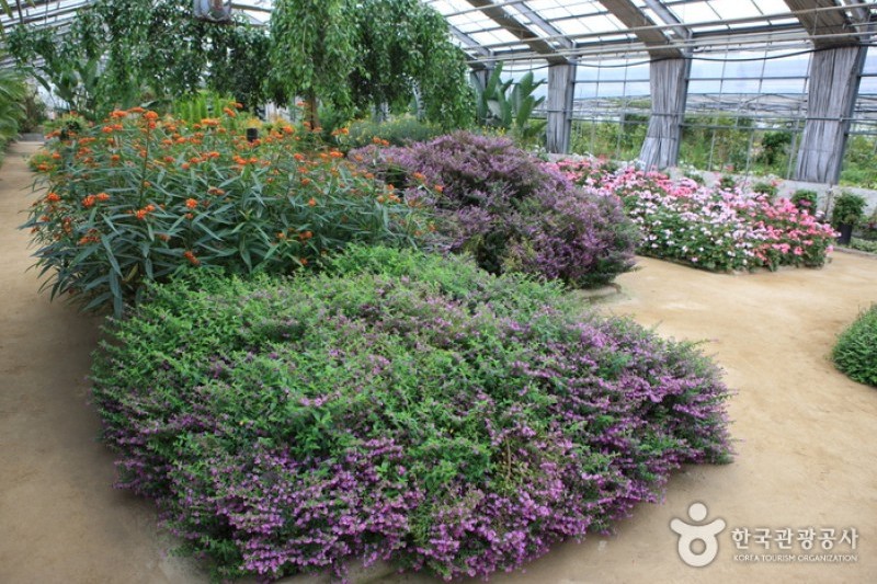 Asan Botanical Garden  (19/31)