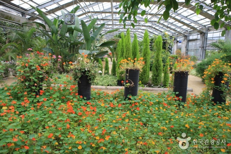 Asan Botanical Garden  (20/31)