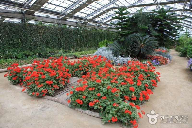 Asan Botanical Garden  (21/31)