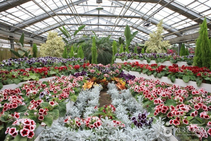 Asan Botanical Garden  (22/31)