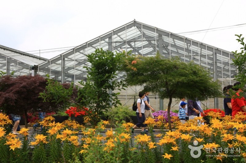 Asan Botanical Garden  (24/31)