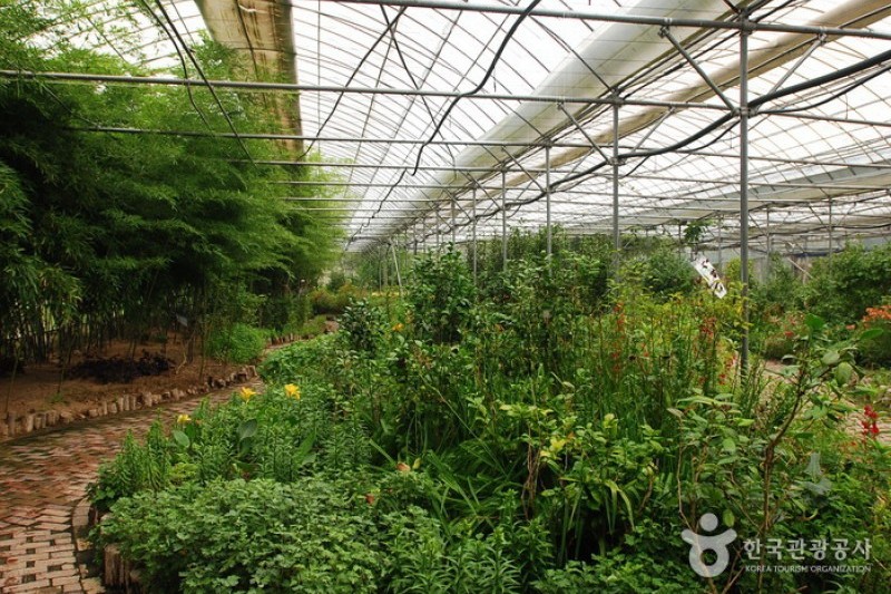 Asan Botanical Garden  (27/31)