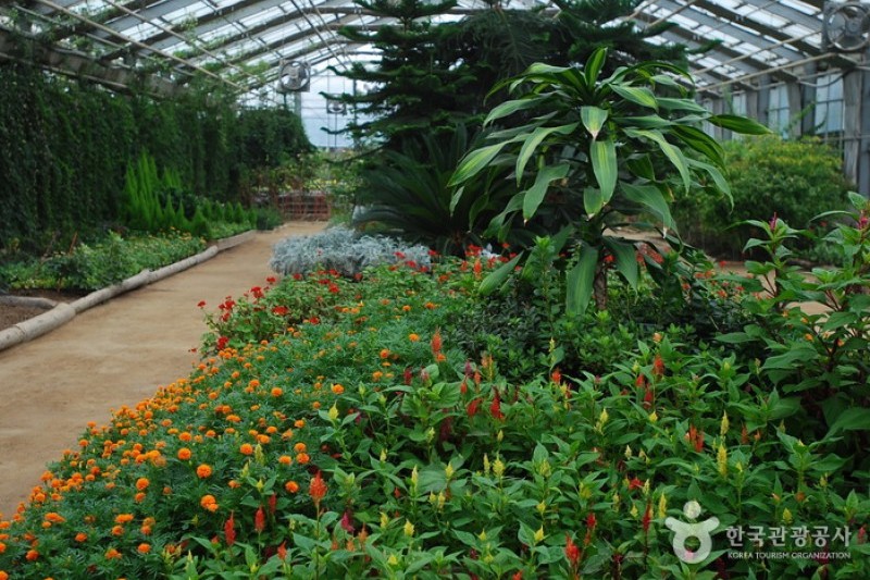 Asan Botanical Garden  (29/31)