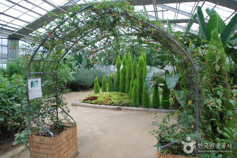 Asan Botanical Garden  (30/31)