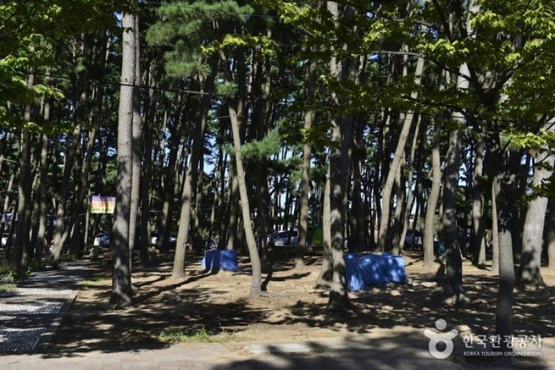 Chunjangdae Beach  (2/12)