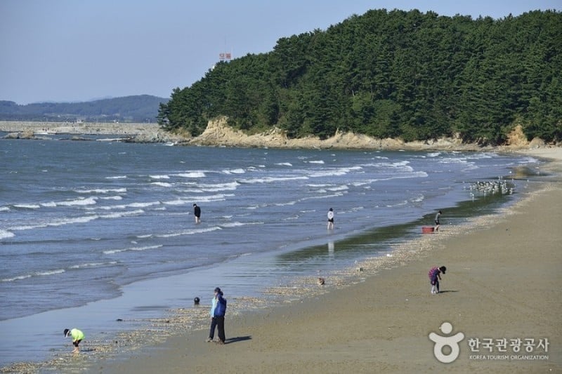 Chunjangdae Beach  (4/12)
