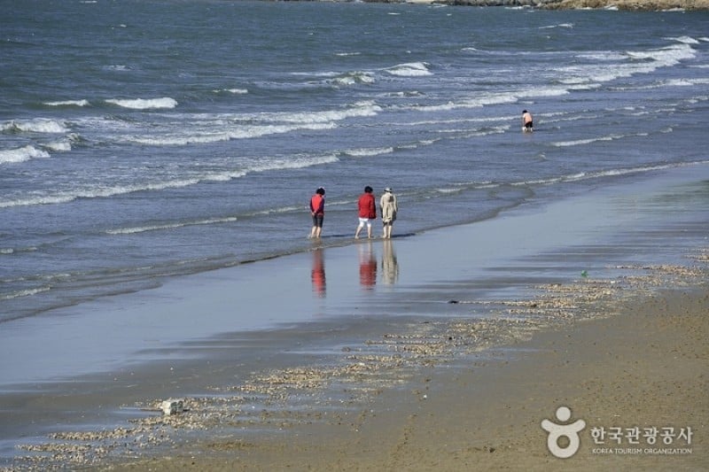 Chunjangdae Beach  (5/12)