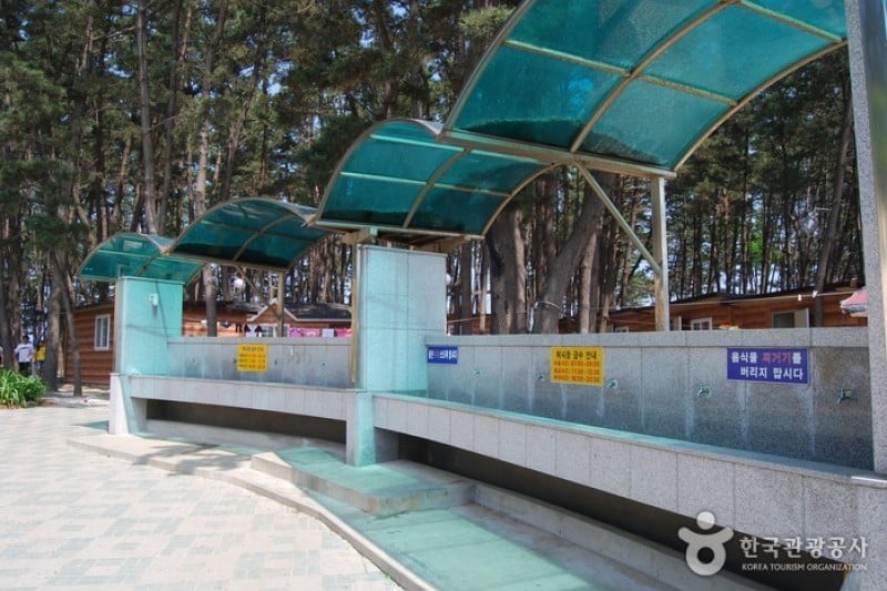 Chunjangdae Beach  (6/12)