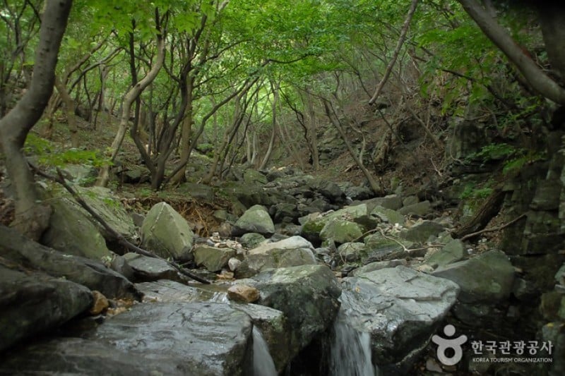 Oseosan Mountain  (4/6)