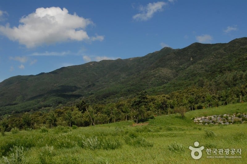Oseosan Mountain  (5/6)
