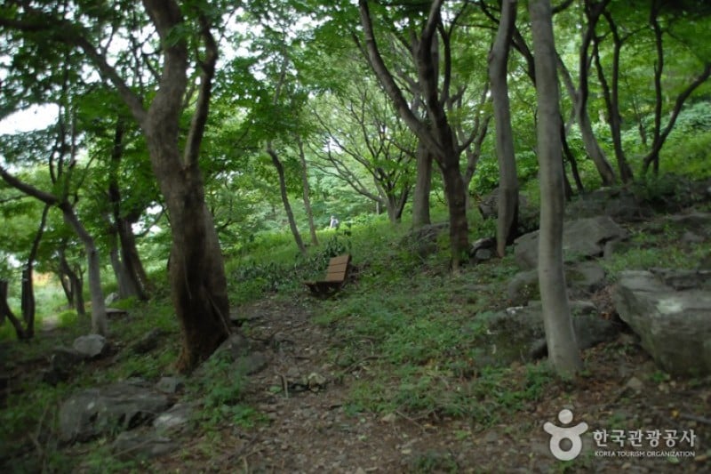 Oseosan Mountain  (6/6)