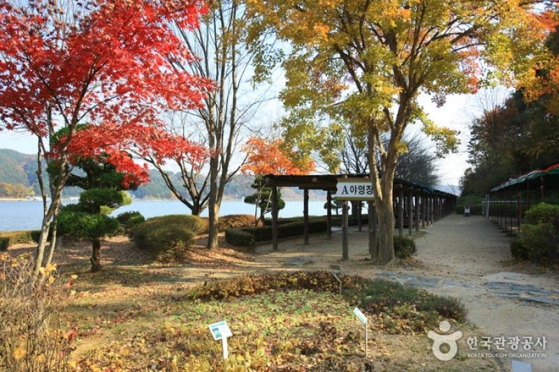 Muhancheon Stream  (2/19)