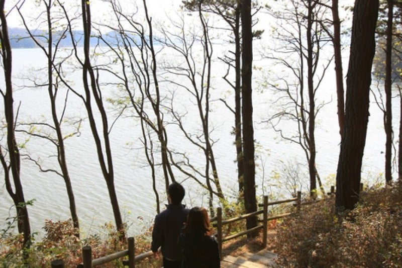 Muhancheon Stream  (4/19)