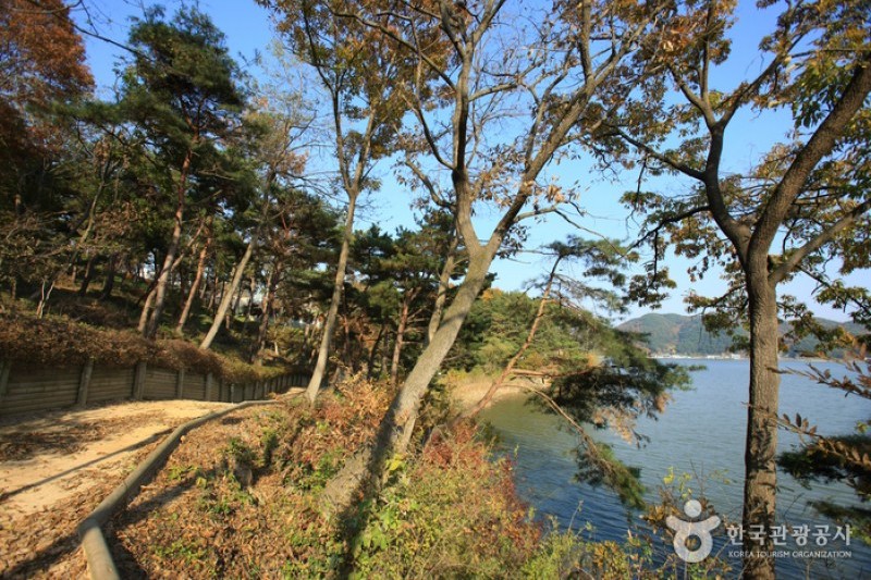 Muhancheon Stream  (6/19)