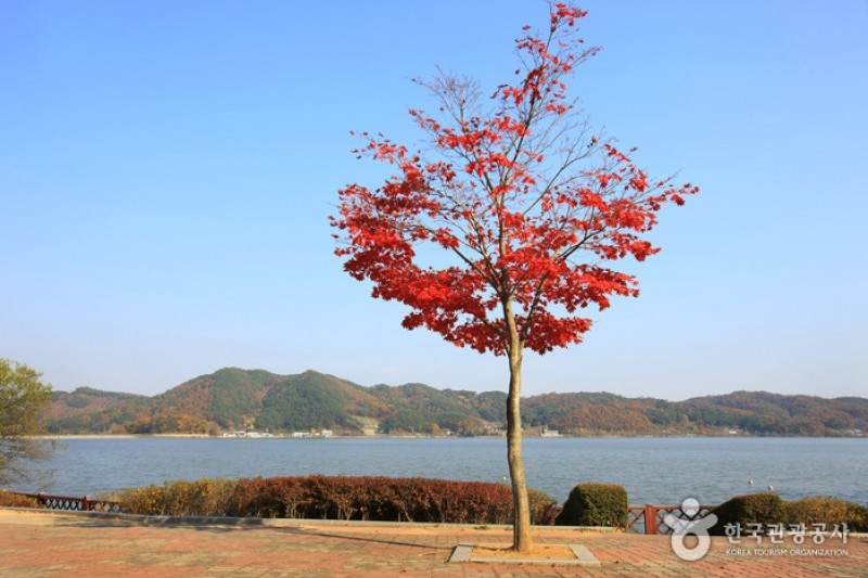 Muhancheon Stream  (7/19)