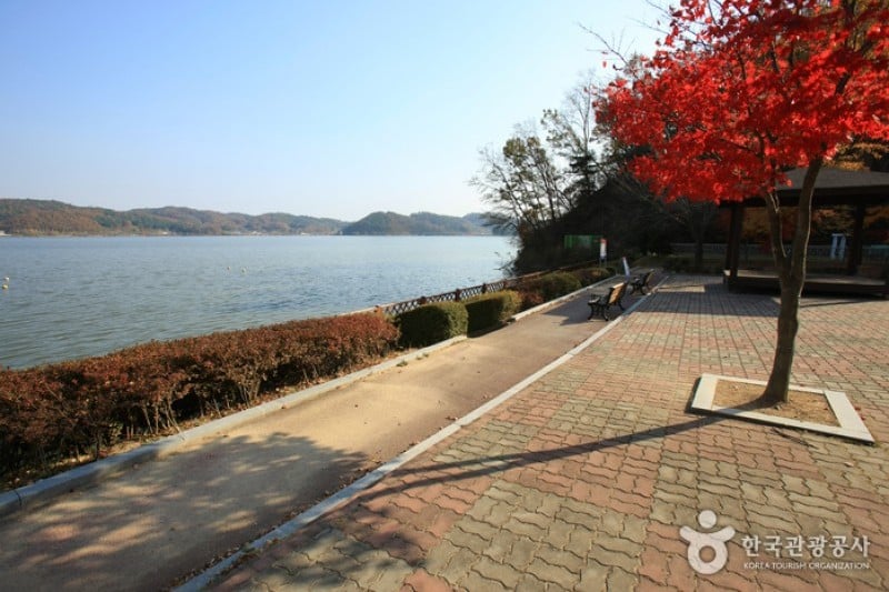Muhancheon Stream  (8/19)