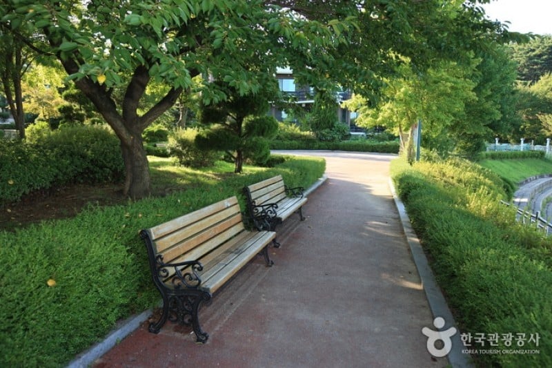 Muhancheon Stream  (15/19)