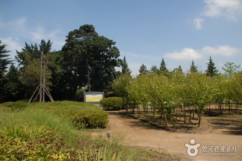 Chunguisa Shrine  (46/63)