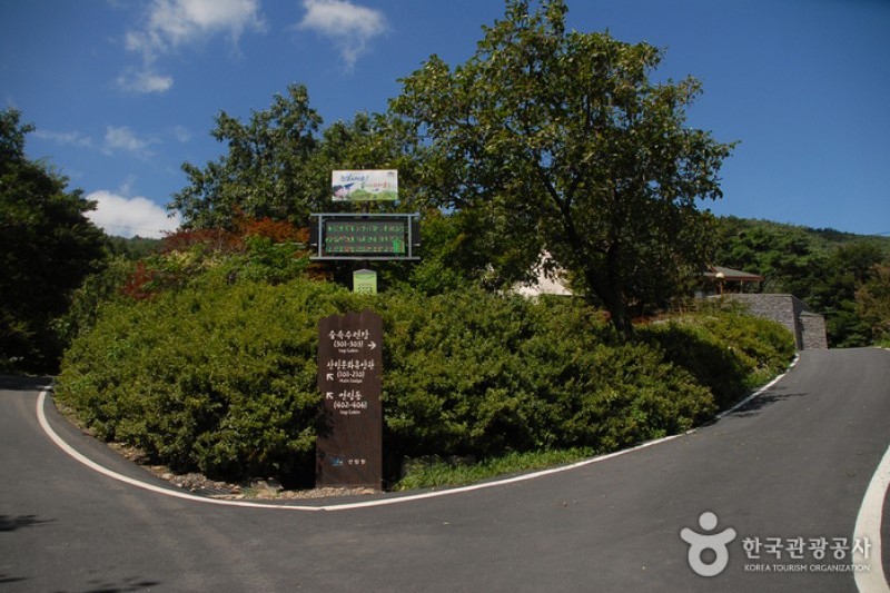 Oseosan Mountain Natural Recreation Forest  (2/17)