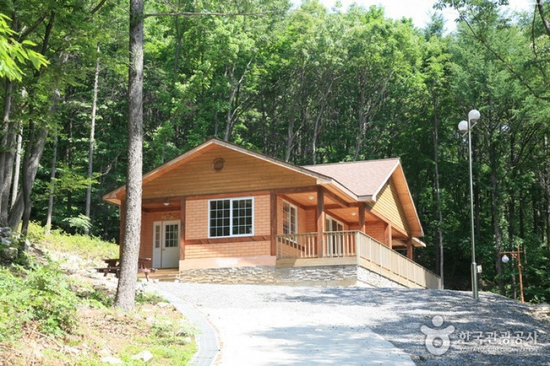Oseosan Mountain Natural Recreation Forest  (15/17)