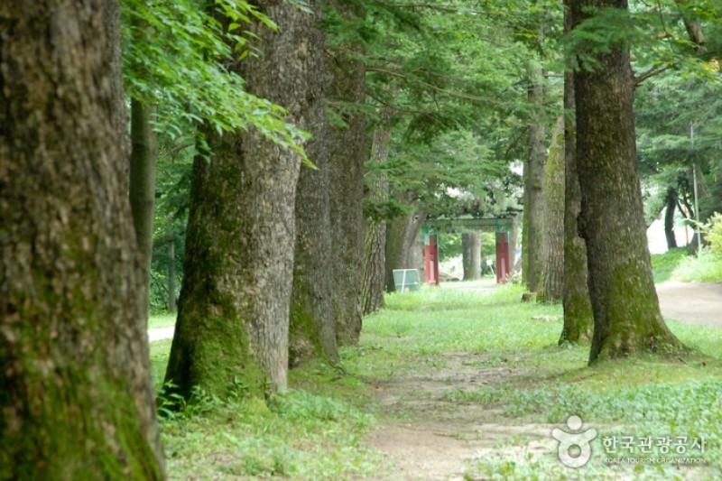 Boseoksa Temple  (5/21)