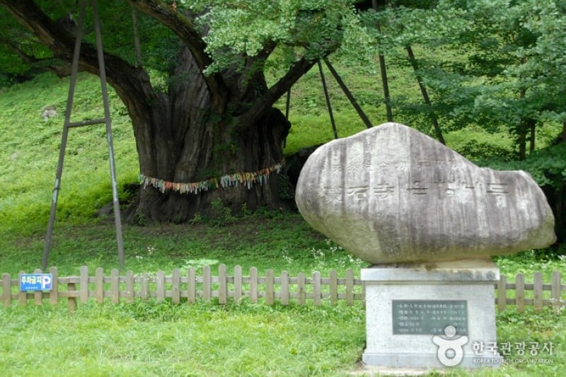 Boseoksa Temple  (11/21)