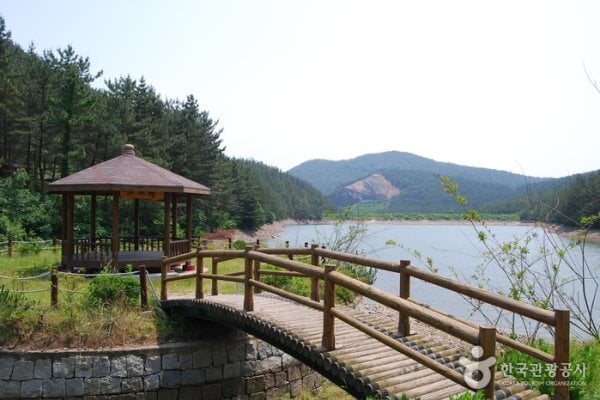 Huirisan Pine Tree Recreational Forest