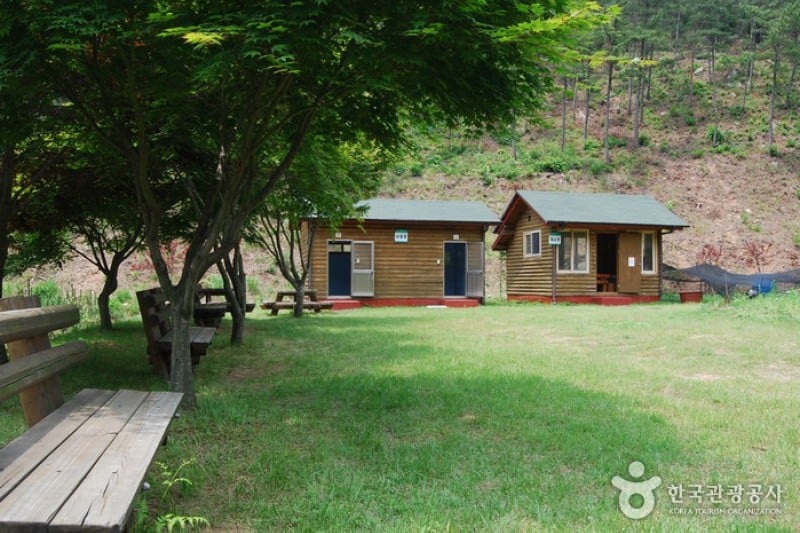 Huirisan Pine Tree Recreational Forest  (1/4)