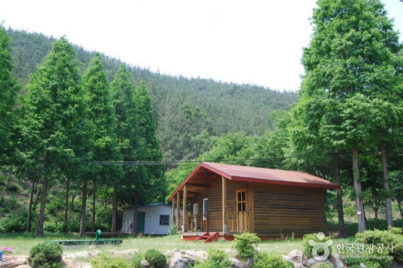 Huirisan Pine Tree Recreational Forest  (2/4)
