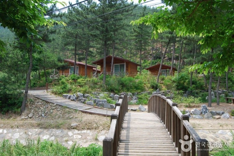 Huirisan Pine Tree Recreational Forest  (3/4)