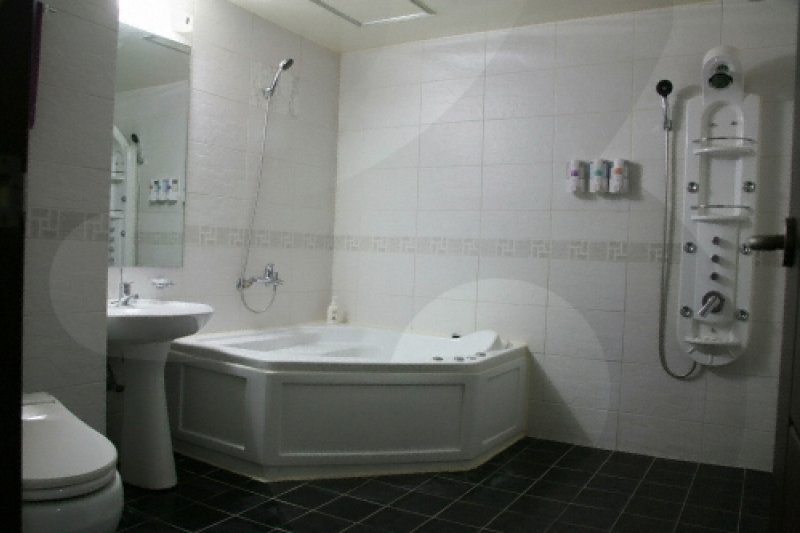 Cheonan Central Tourist Hotel 
