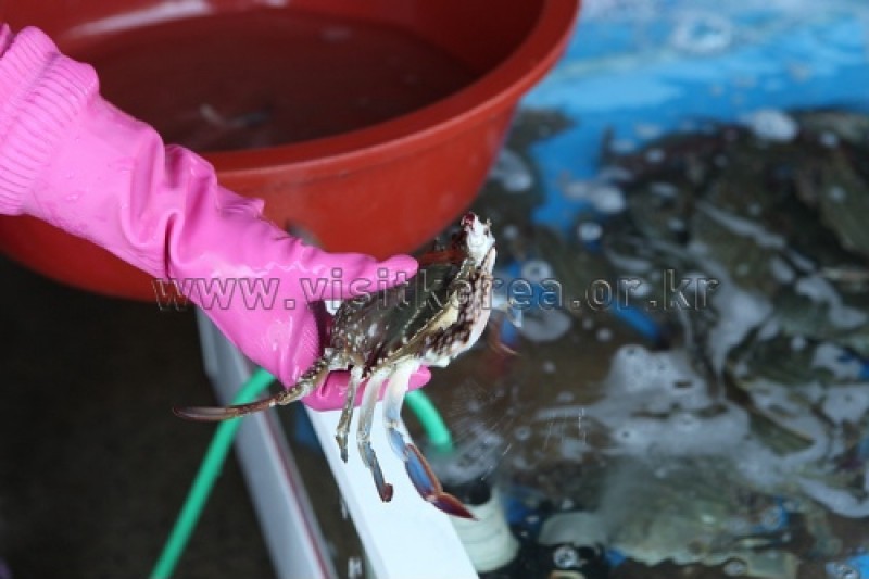 Hongwon Port Jeoneo  (1/5)