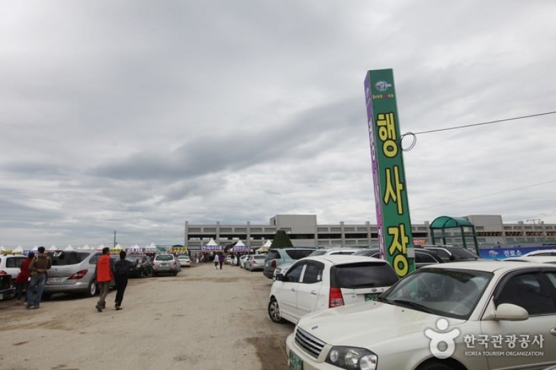 Hongseong Namdanghang Port Jumbo Shrimp Festival  (1/3)
