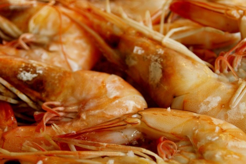Hongseong Namdanghang Port Jumbo Shrimp Festival  (3/3)