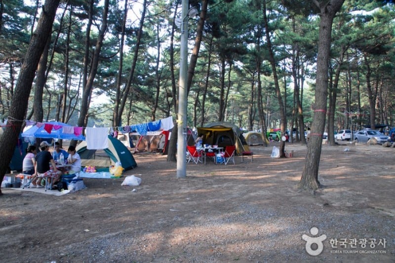 Mongsanpo Beach  (5/9)