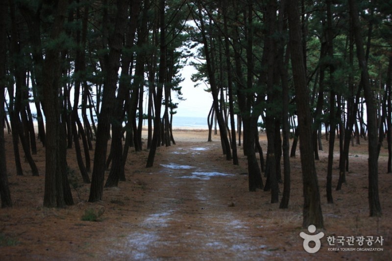 Mongsanpo Beach  (8/9)