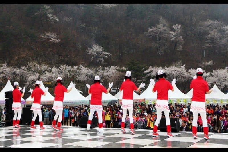 Silk Town Mountain Cherry Blossom Festival  (3/3)