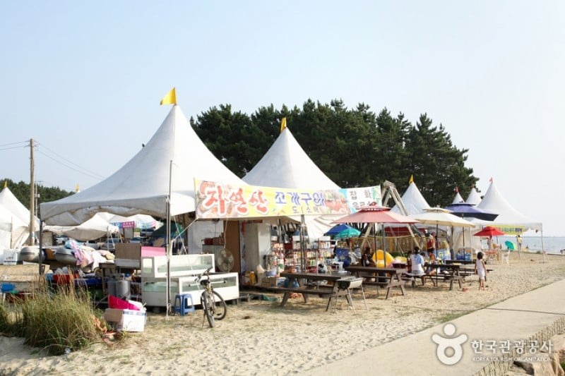 Cheongpodae Beach  (3/17)