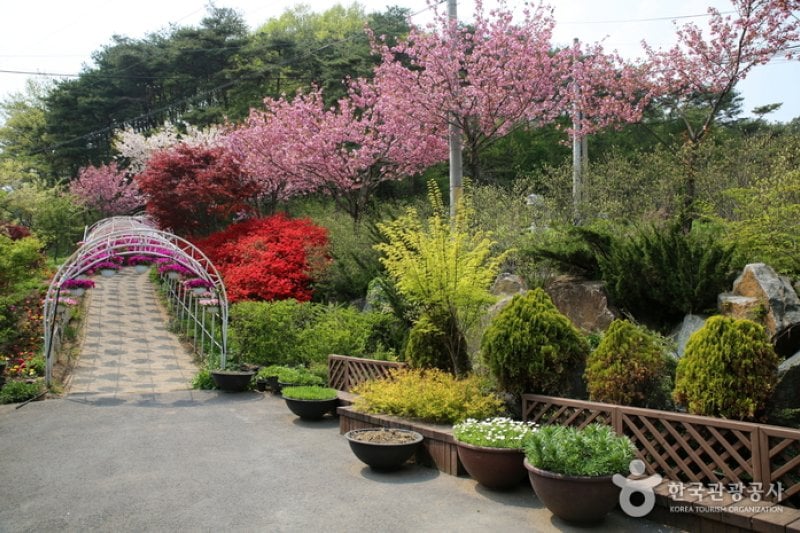 Kohwun Garden  (1/27)