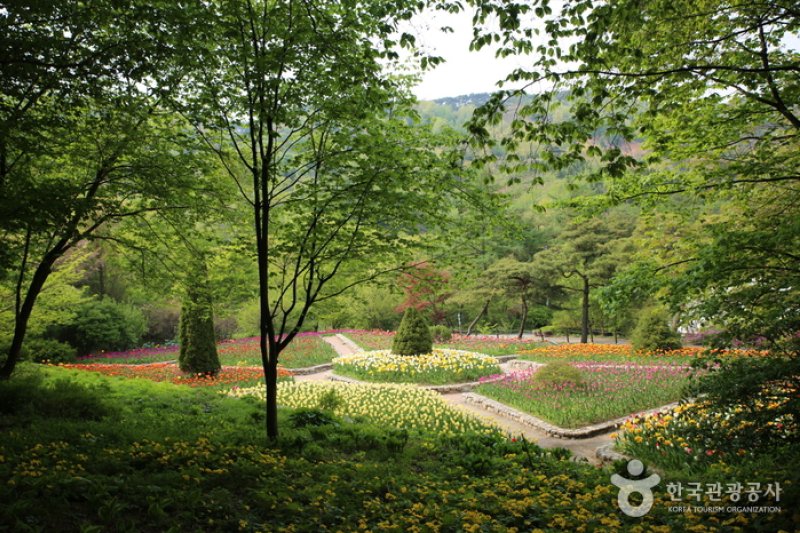 Kohwun Garden  (12/27)